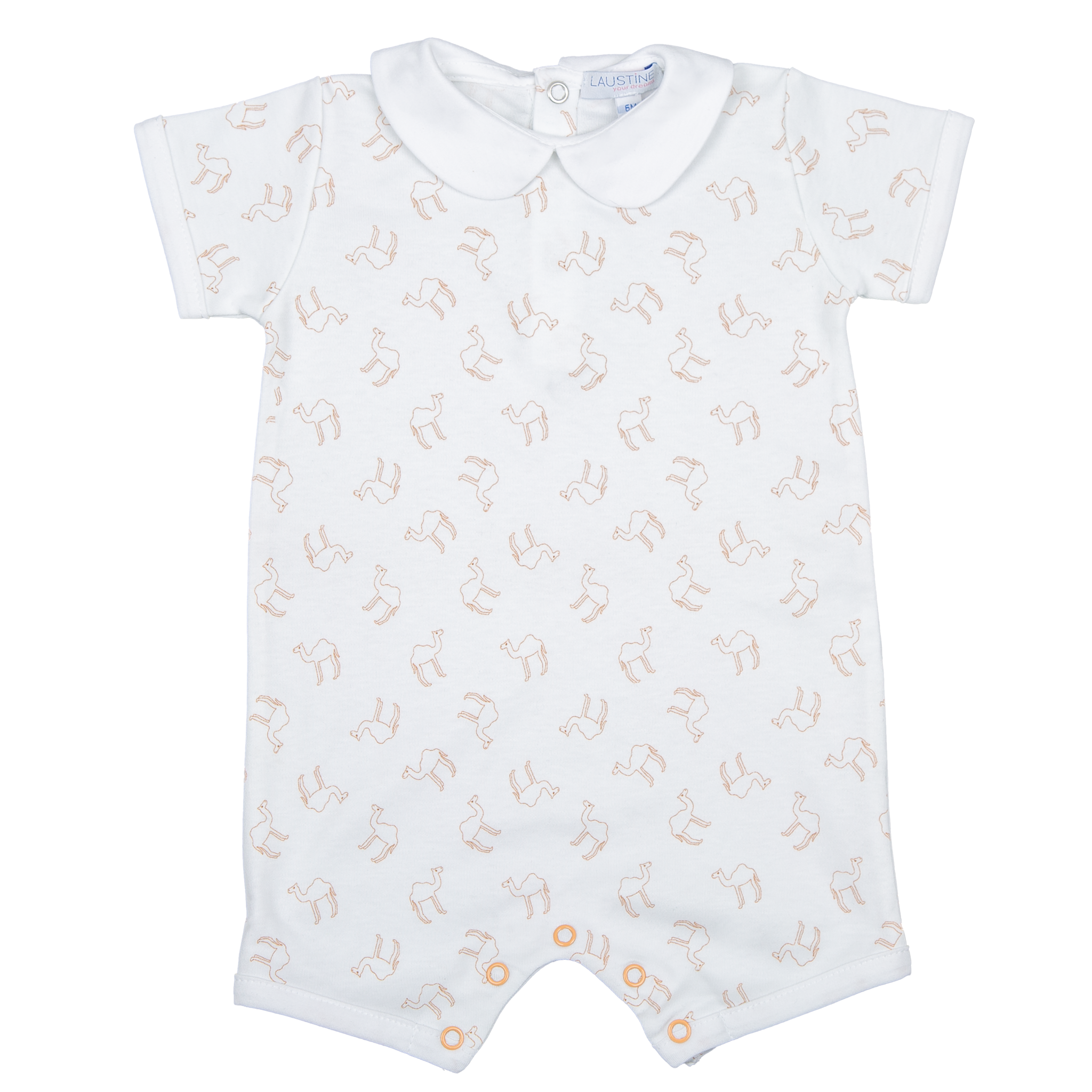 charles - biscuit camel print