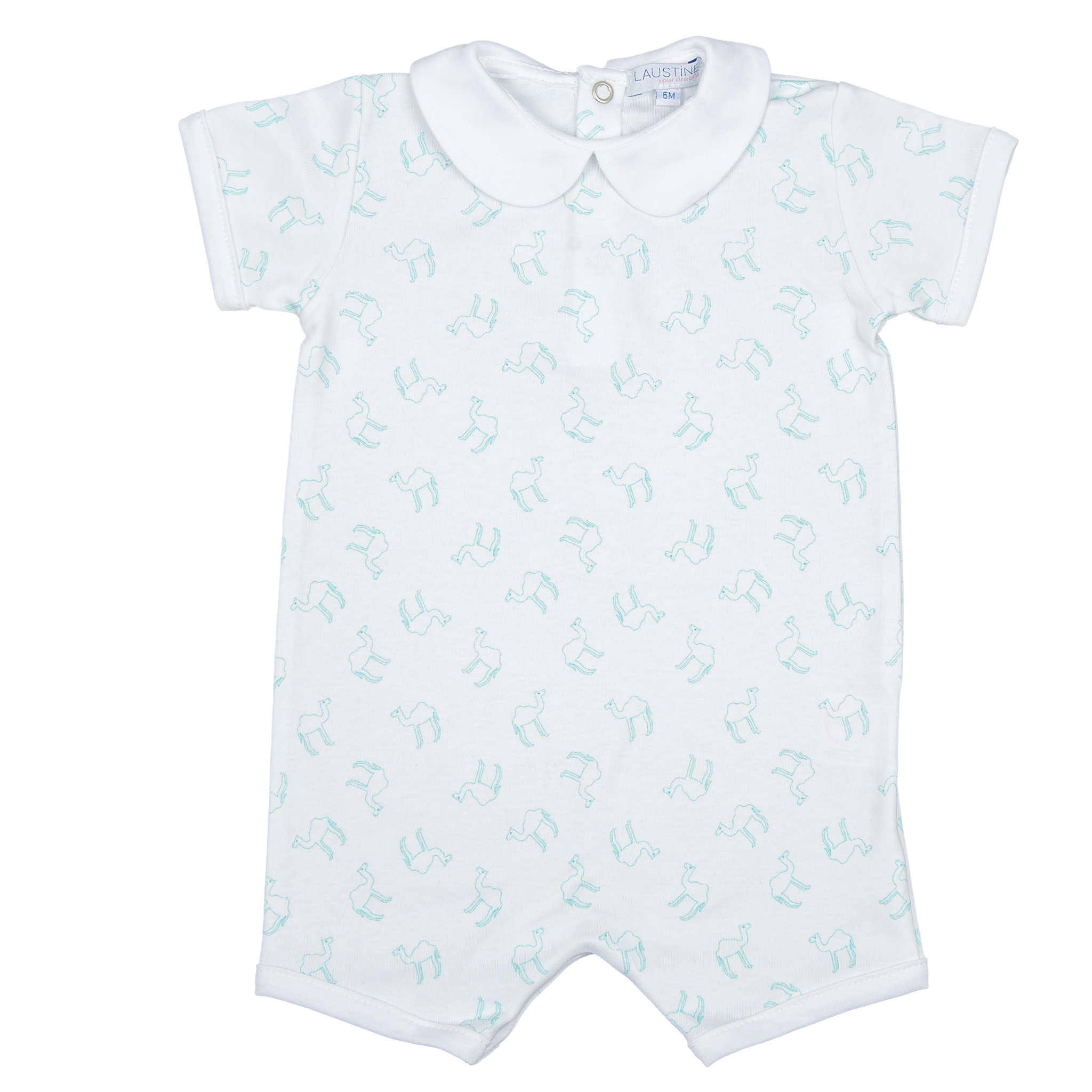 charles - turquoise camel print